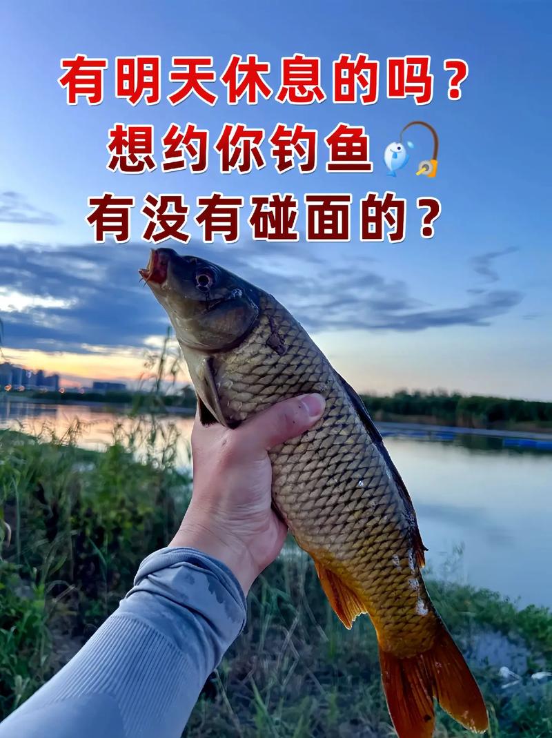 釣魚的論壇_隨便說說釣魚之家論壇_釣魚論壇官網