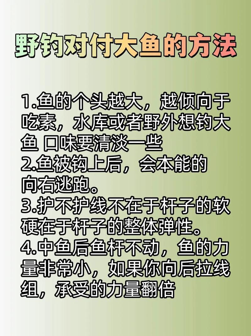 野釣中大魚視頻大全_遛魚技巧_應對大魚打樁