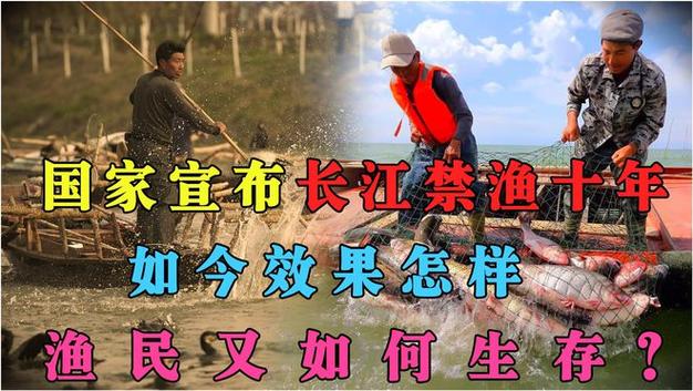 保護長江生態環境政策_長江流域禁捕政策_長江流域禁漁十年釣魚人何去何從?