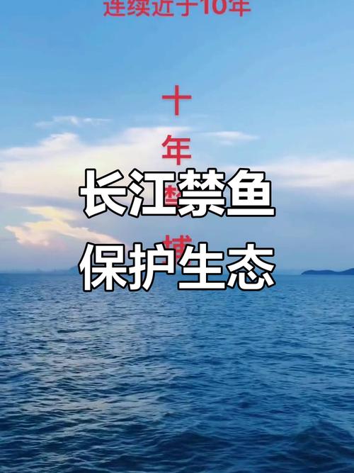 長江流域禁捕政策_長江流域禁漁十年釣魚人何去何從?_保護長江生態環境政策