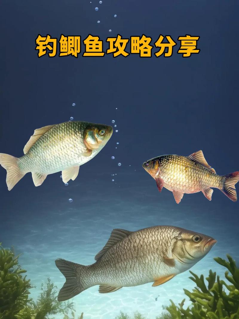 釣魚視頻野釣鯽魚_野釣鯽魚節奏控制方法_野釣大鯽魚技巧