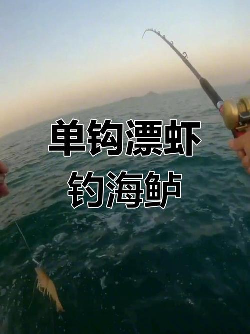 如何在海邊釣魚安全注意事項_海釣_海釣技巧_海邊釣魚技巧裝備魚餌