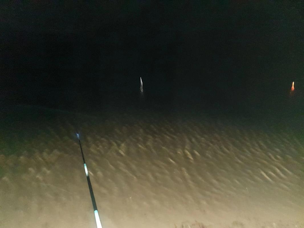 夏季夜釣_夜釣技巧_海邊夜釣的魔力必看