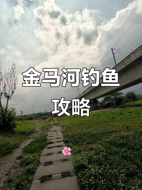 溫江釣魚勝地 江安河垂釣 金馬河釣魚_溫江野釣的地方