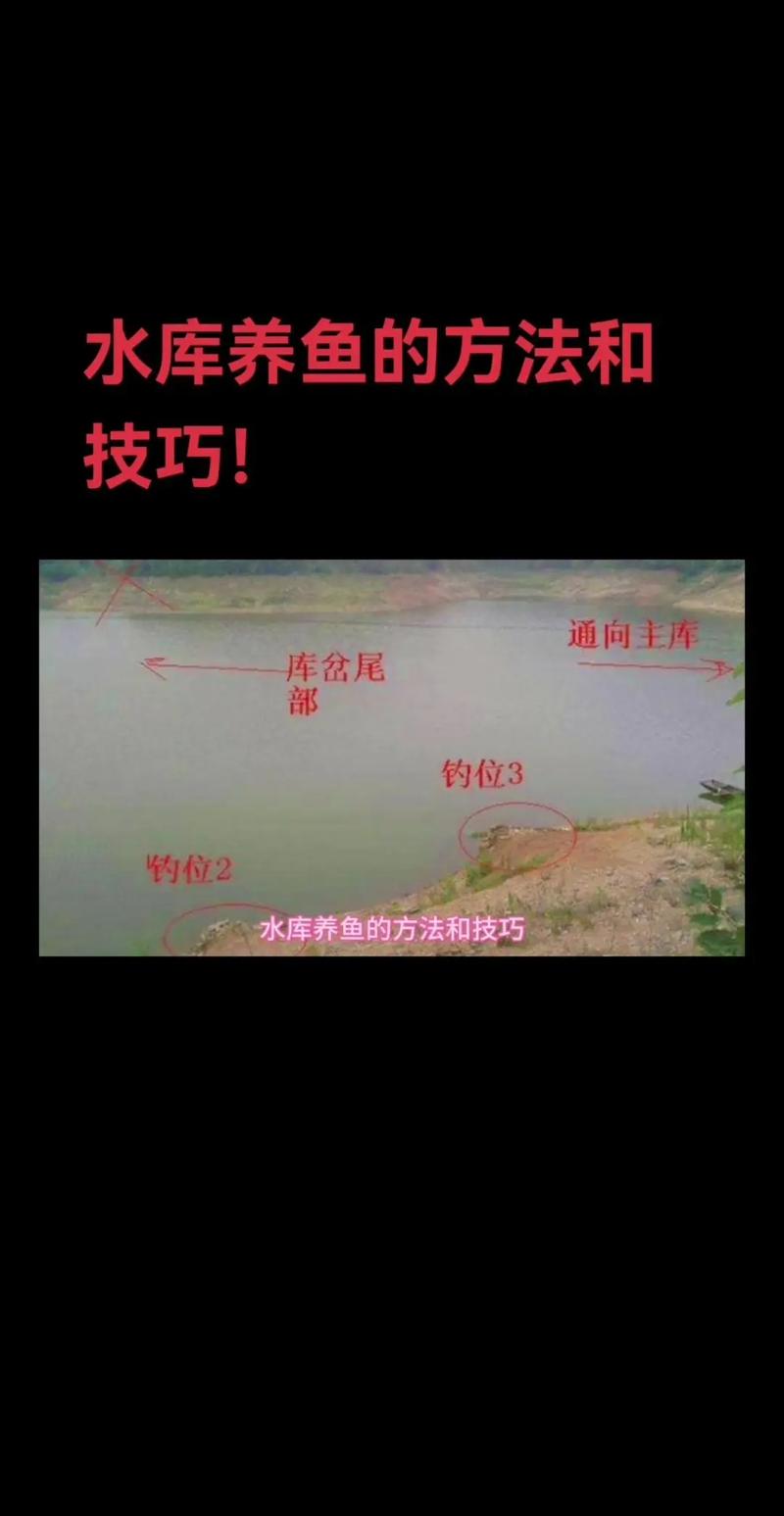 春季水庫釣魚攻略_南方春季釣魚技巧_南方春季水庫釣魚技巧