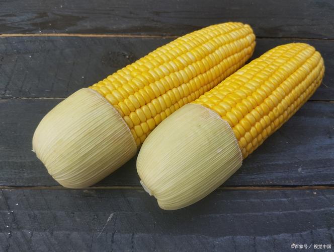 老玉米 釣魚_嫩玉米泡酒方法_嫩玉米釣魚技巧