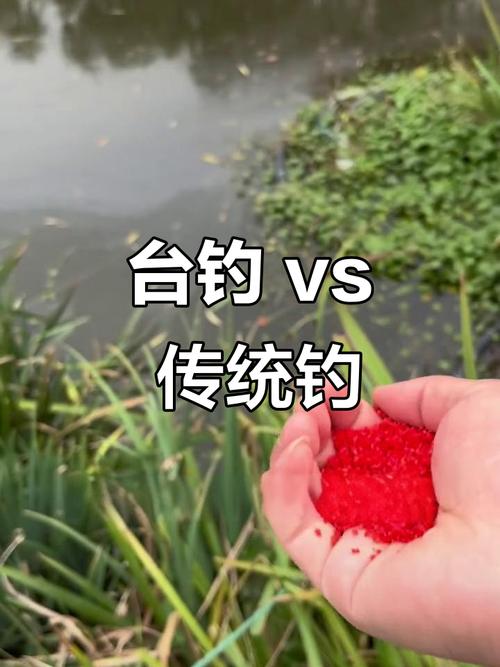 臺釣的介紹_臺釣和傳統釣的區別_臺釣和傳統釣法區別_臺釣技巧與優缺點