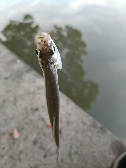 鉤尖上的中國_鉤尖上的中國第一季_鉤尖上的美食第二季
