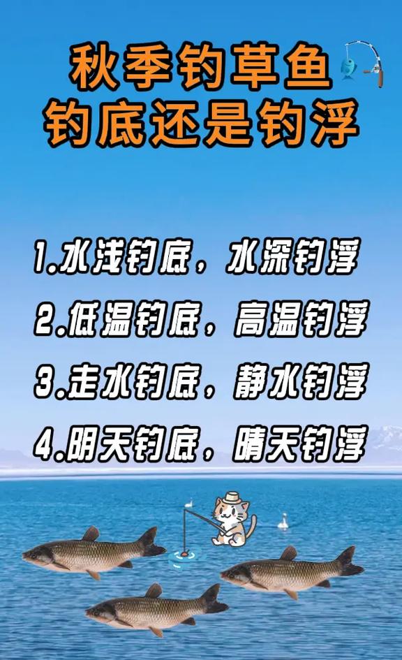 秋季釣草魚注意事項_釣草魚餌料搭配技巧_這時候大草魚釣底還是釣浮