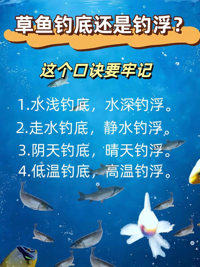 釣草魚餌料搭配技巧_秋季釣草魚注意事項_這時候大草魚釣底還是釣浮