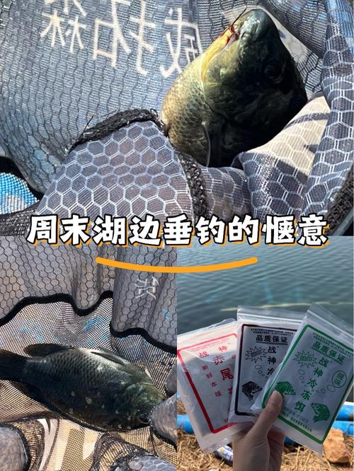 野釣全攻略譚佛航_譚xuan_野釣羅非怎樣避小釣大