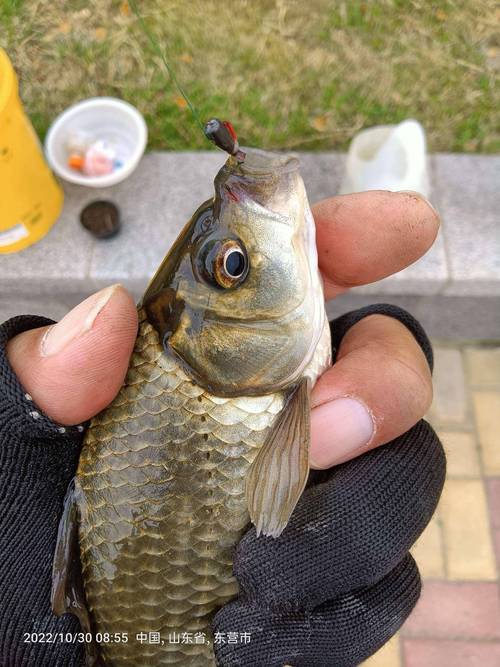 長江海桿串鉤釣魚技巧_長江釣魚用什么漁具_長江釣魚技巧
