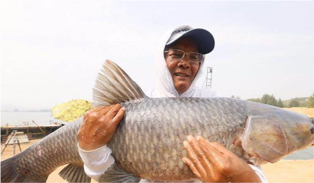 武漢天元漁具有限公司_化紹新最新釣魚視頻_化紹新釣魚用品有限公司