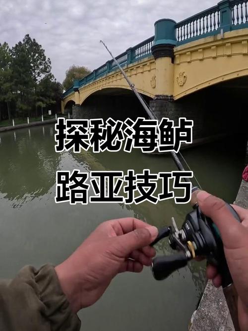 海釣鱸魚_選擇合適的釣位海釣鱸魚_海釣鱸魚技巧