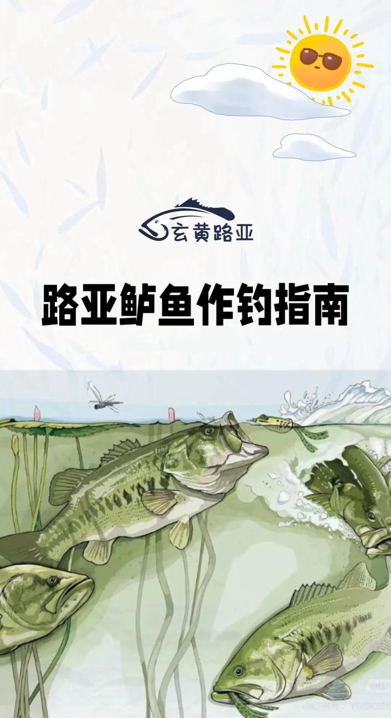 釣海鱸魚最佳時間_海釣鱸魚視頻大全_海鱸魚覓食特點詳解