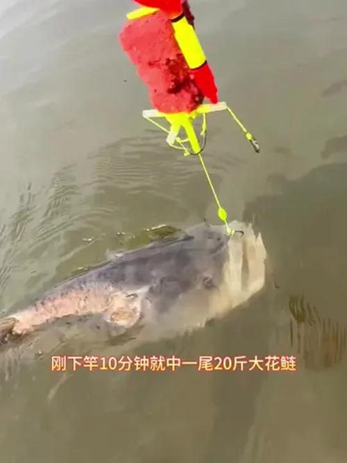 海竿水怪釣鰱鳙破個人記錄必看_水怪餌料制作教程_自制水怪釣具