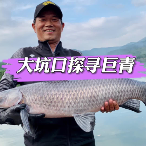 中國釣魚大師排名_中國釣魚網紅_釣魚網紅排行榜