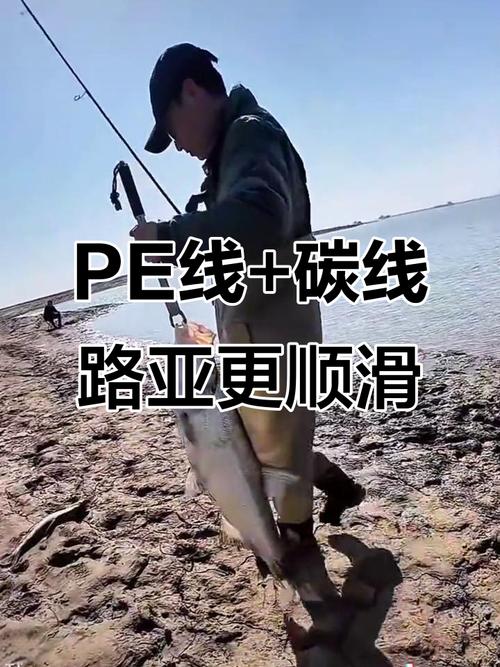 碳素線_碳素線的特性_碳素線的場景運用_釣魚_釣線種類 尼龍線 PE線 碳素線