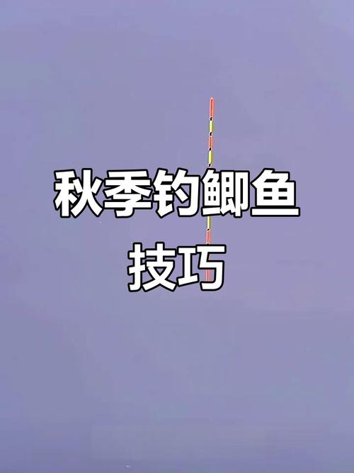 秋季釣魚最佳出釣時間_釣早晚時間選擇_秋天水庫釣魚技巧