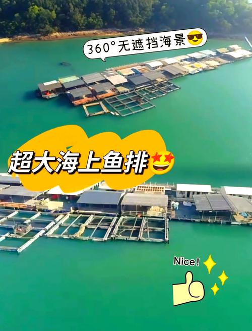 海釣特點潮汐洋流_海魚愛躲在大海的哪些地方?選擇海釣位_海釣入門知識