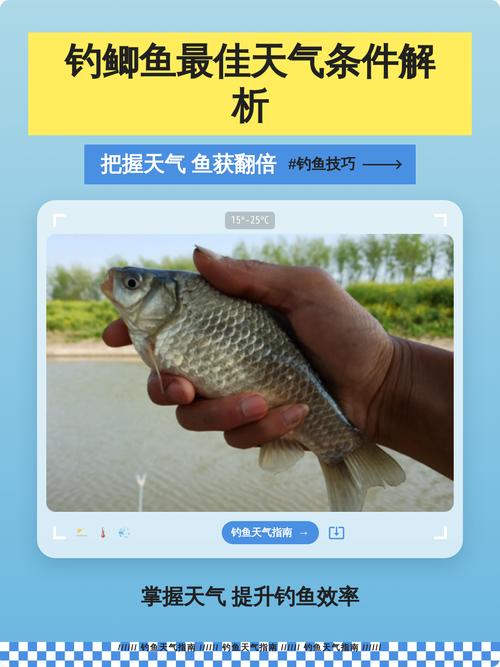 秋末水庫釣魚技巧_春季釣鯽魚_春釣鯽魚技巧