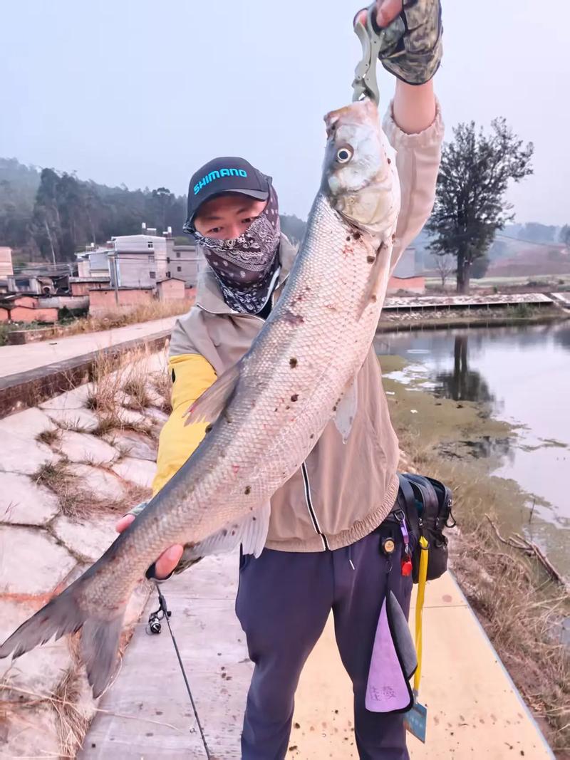 漢源湖路亞釣米翹_漢源湖2026首戰翹嘴_漢源湖路亞釣翹嘴