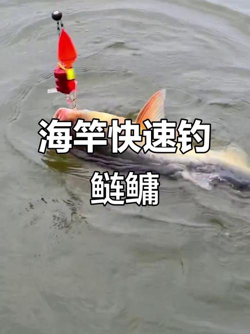 海竿各種線組安裝圖解_海竿拋投方法_海竿使用技巧
