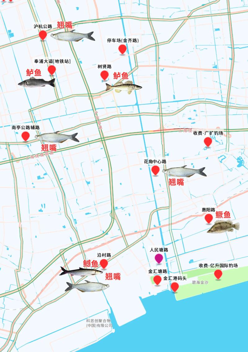 魚竿租賃避坑指南_上海釣魚網_上海垂釣攻略