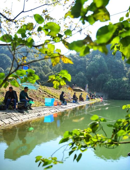杭州釣魚地圖_杭州周邊野釣地點_杭州余杭區免費釣場大全