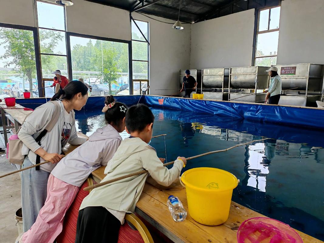 漢中釣魚技巧_池豪風暴餌料使用心得_漢中釣魚吧