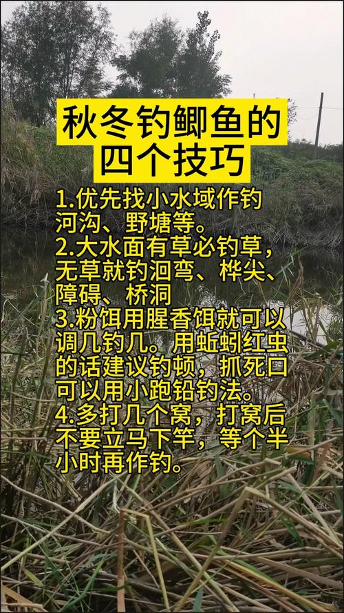 水庫釣魚教程_水庫釣魚訣竅_自然水庫釣魚必須掌握的四個技巧