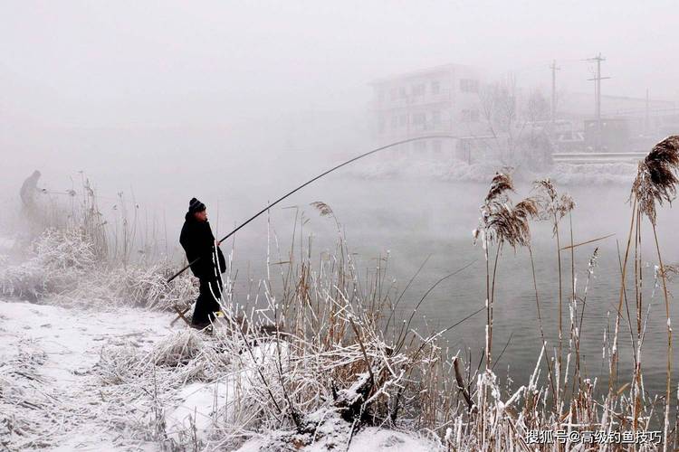 深潭向陽坡釣鯽魚_北方冬天釣魚技巧_冬季釣魚技巧