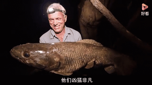 河中巨怪7季_河中巨怪第七季_河中巨怪第六季第五集