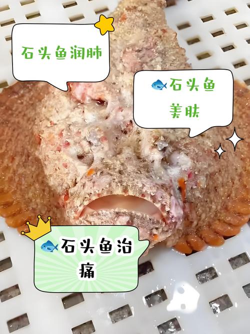 石頭魚是什么魚_石頭魚分布范圍_石頭魚形態特征