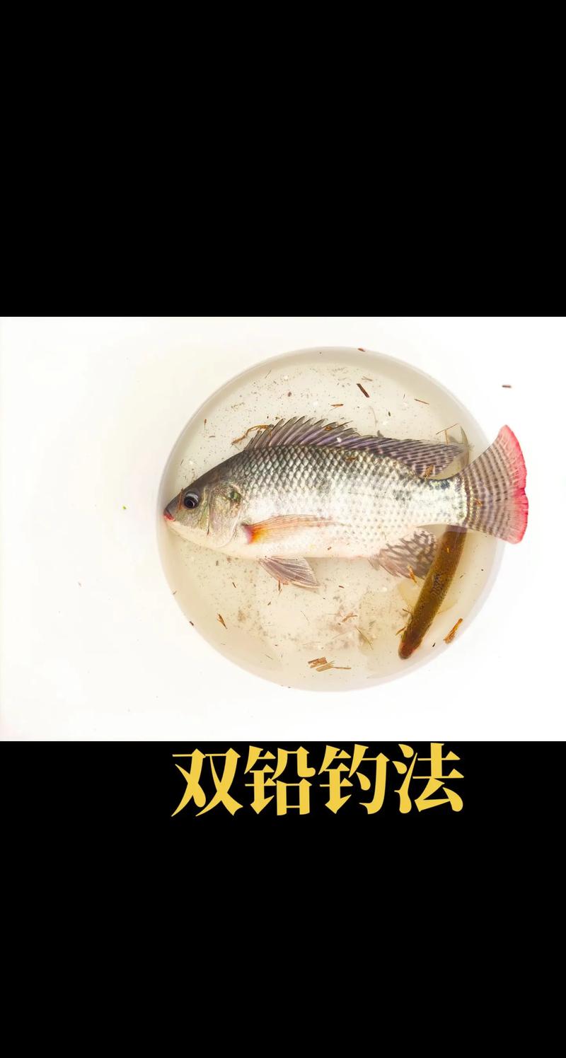 雙鉛釣法應對走水_走水雙鉛墜釣法_走水釣魚技巧雙鉛釣法