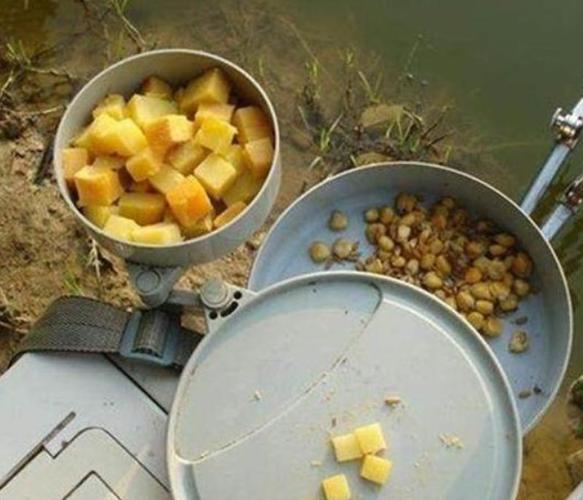 黑坑江湖地瓜釣鯉魚_紅心紅薯餌料_紅薯釣鯉魚