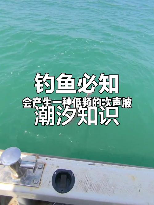 海邊釣魚視視頻_釣魚海邊視頻技巧圖解_海邊釣魚技巧視頻
