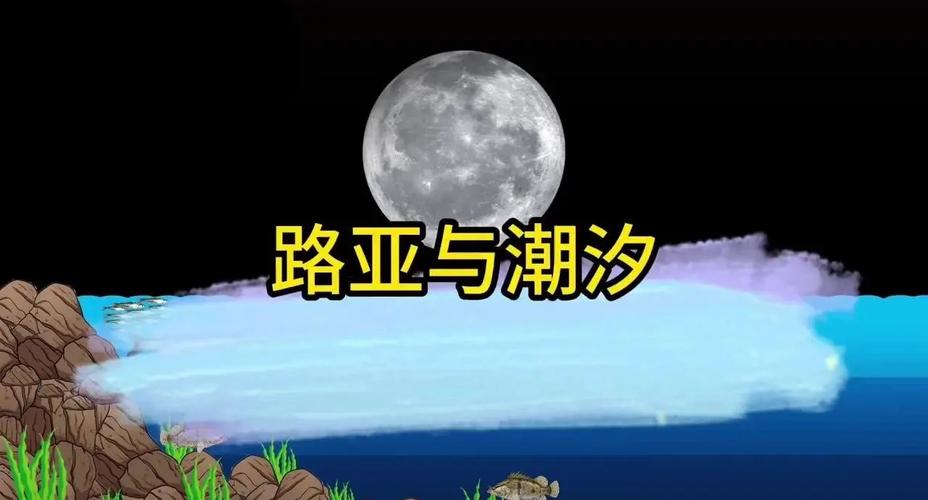 海邊釣魚技巧視頻_釣魚海邊視頻技巧圖解_海邊釣魚視視頻