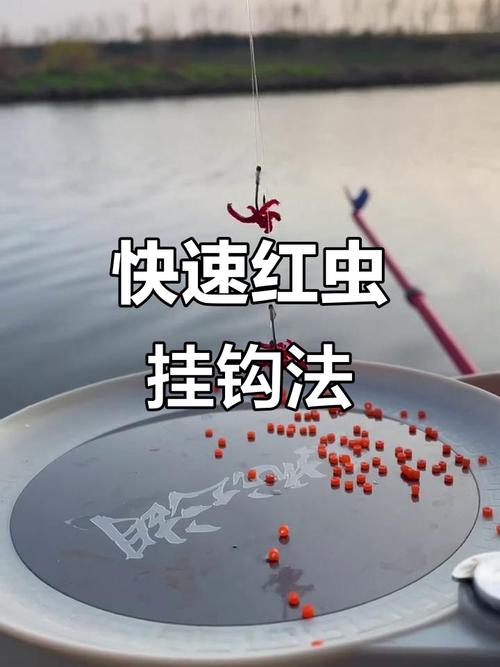 紅蟲_紅蟲怎么掛鉤_紅蟲怎么掛鉤_蚯蚓掛鉤方法