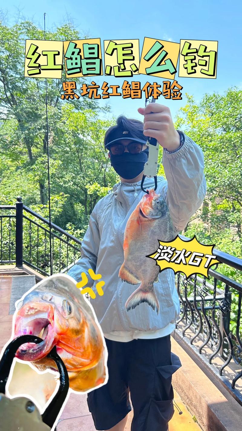 淡水白鯧攝食習性_淡水白鯧棲息環境_紅鯧魚怎么釣？