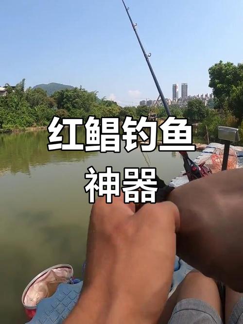 紅鯧魚怎么釣？_淡水白鯧棲息環境_淡水白鯧攝食習性