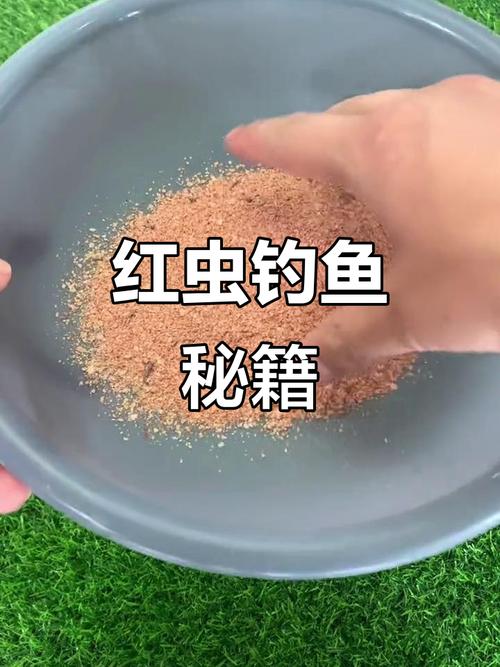 紅蟲釣魚_紅蟲釣魚效果怎么樣_紅蟲釣魚季節選擇