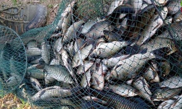 沈陽水庫野釣攻略_沈陽釣魚的地方有哪些_沈陽渾河野釣釣點