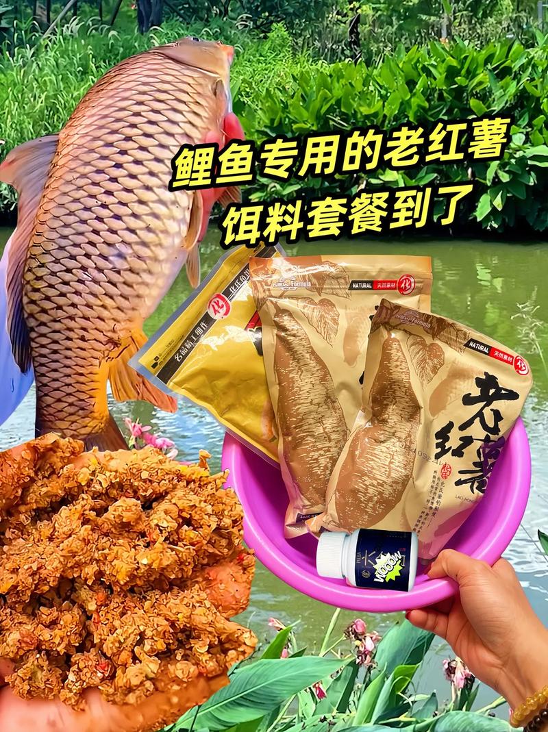 鯉魚素餌種類_紅薯釣鯉魚要加商品餌嗎?_釣鯉魚餌料配方