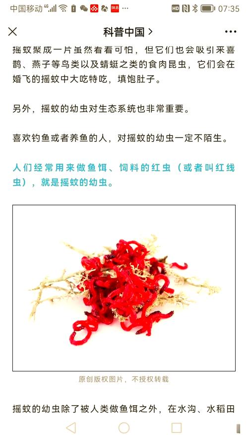 紅蟲有哪幾種用法???_紅蟲細菌有害嗎_紅蟲釣魚安全嗎