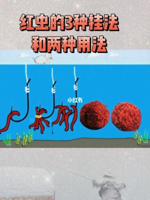 紅蟲釣魚安全嗎_紅蟲細菌有害嗎_紅蟲有哪幾種用法???