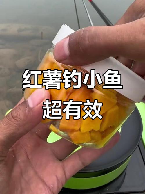 紅薯加拉絲粉釣魚效果怎樣?_紅薯拉餌配方_野釣拉餌技巧