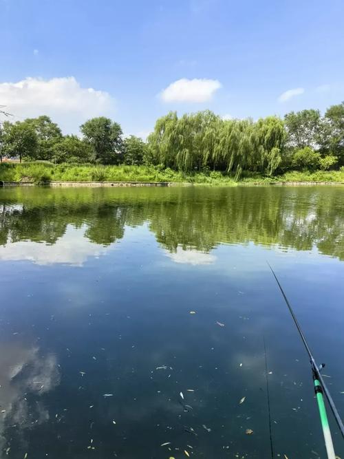 武漢十大垂釣佳地_東湖釣魚攻略_武漢周邊野釣地點
