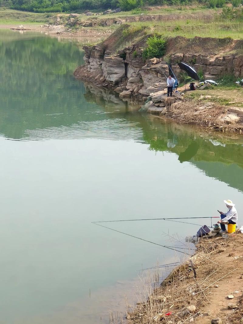 東湖釣魚攻略_武漢十大垂釣佳地_武漢周邊野釣地點