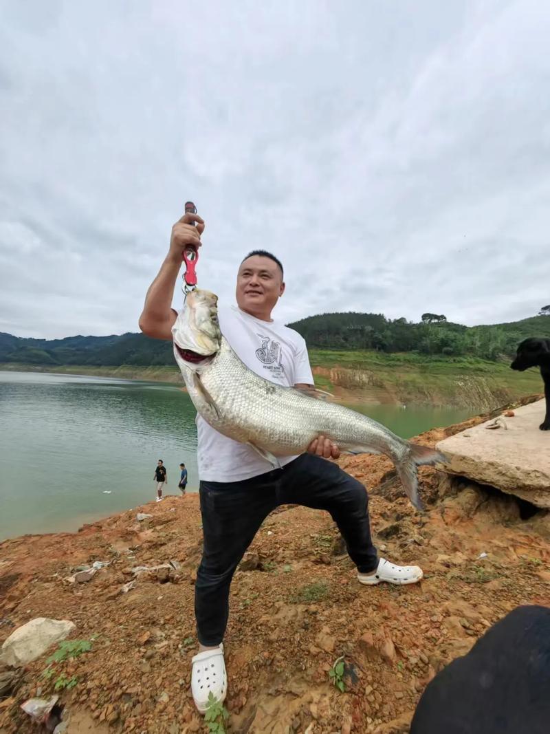 長壽湖垂釣技巧_重慶長壽湖釣魚攻略_萬峰湖釣魚視頻_萬峰湖釣魚攻略_萬峰湖釣魚網